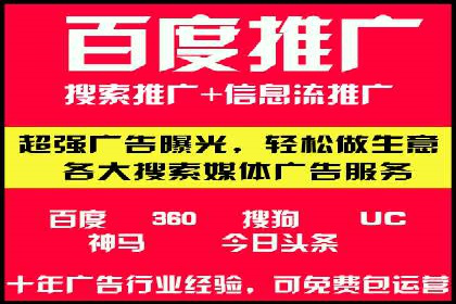 百度竞价广告运营全解析：成功案例揭秘